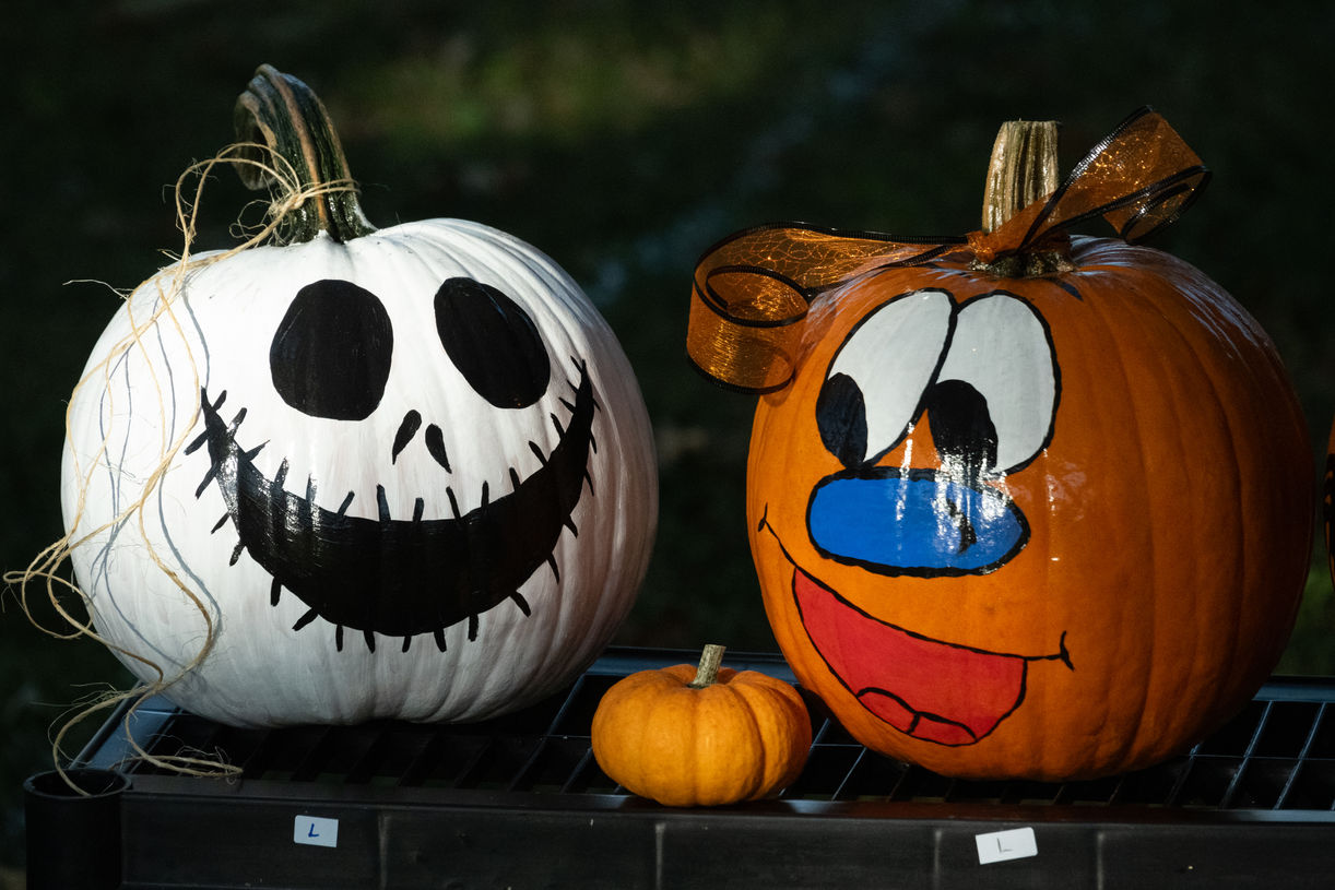 Painted Pumpkins