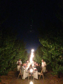 2014-08-23 20.52.39.jpg