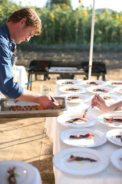 heath plates tom.jpg