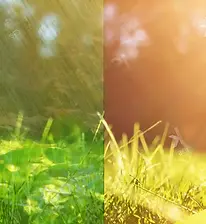 North Texas Water vs Draught -When it rains it pours then it doesn't.
