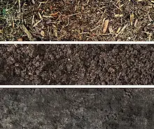 Soil layers: Mulch, Organic Compost and Native Soil