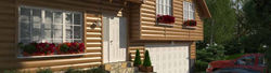 timber_trend_1img