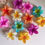 Thumbnail: Big Flower Claw