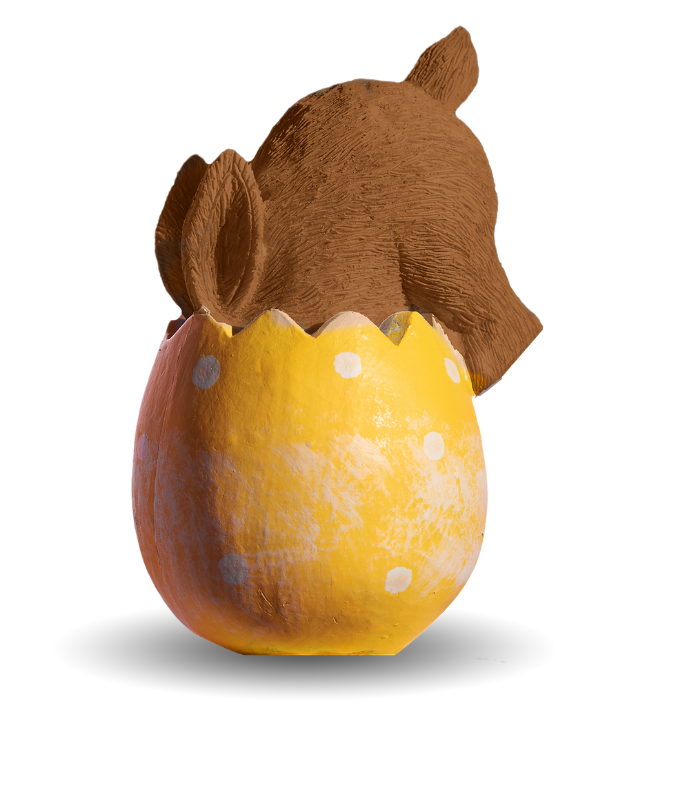 inside-the-bright-yellow-easter-egg-a-plush-rabbi-2024-02-29-19-52-38-utc.png