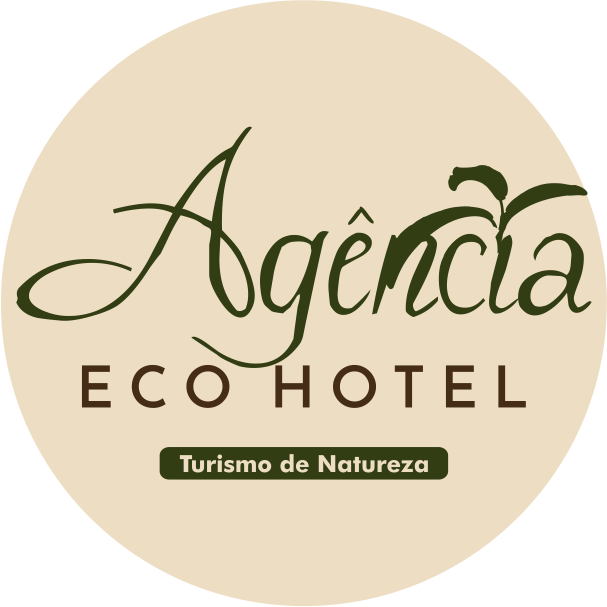 logo agência colorido.png