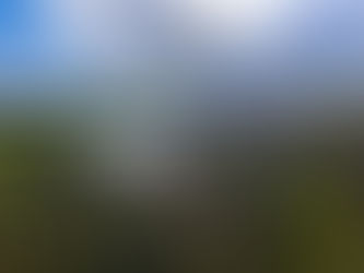 Cambará Eco Hotel é Empresa Carbono Neutro