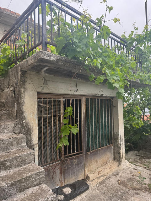 Authentic house with stone steps and climbing plants near Vasiliki