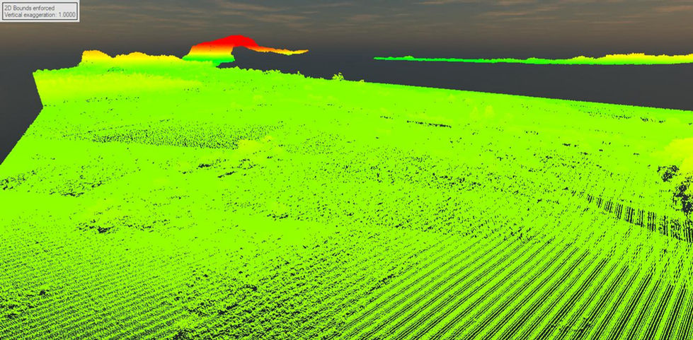 zambalestl2 elev.jpg