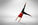 Adult Gymnastics Classes are Back Again!