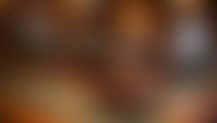 Eerste kamer Den Haag