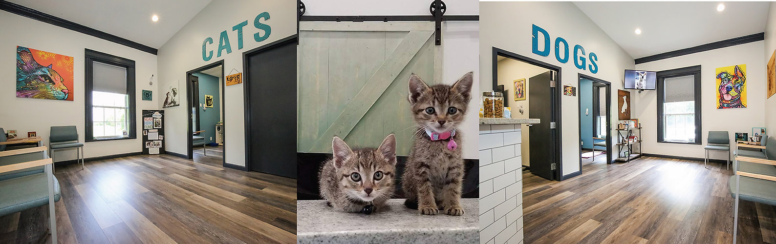 Nottely Oaks Animal Hospital Boarding Grooming