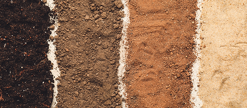 Natural-Soil-BG.png