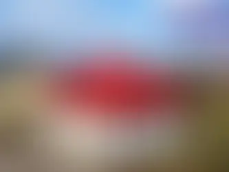 Ile kosztuje budowa domu szkieletowego?