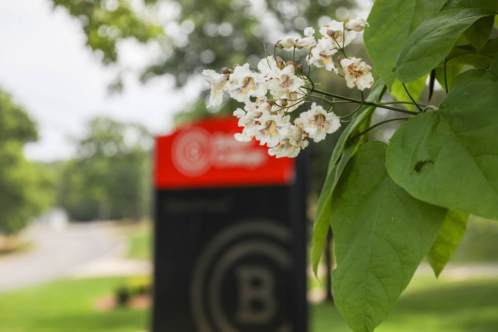Flowering tree in front of college signage