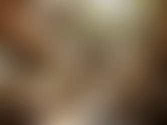 News and Events Architecture and Design: Creating a new renaissance era through generative AI