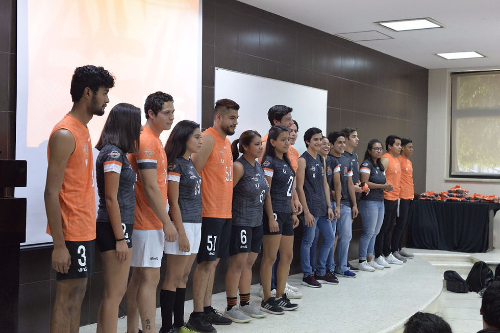 Nueva piel: Leones Anáhuac Oaxaca 