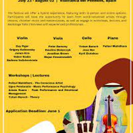 Music Academy for Young Professionals