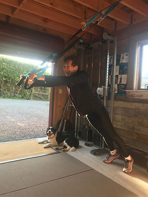 Rosemary and Harry Suspension cables.jpg