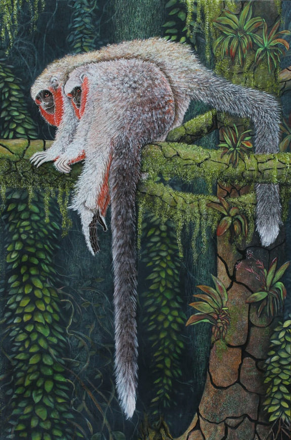 "Callicebus baptista", summer 2019 and 2020. Mixed technique on canvas (150X100cm).

* Reference: "Mammals of Brazil" - Tomas Sigrist