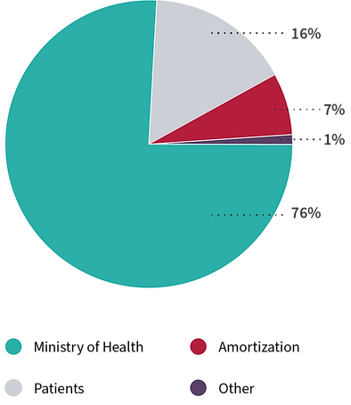 Pie chart describing revenue from 2021 to 2022. Ministry of health 76%, Amortization 7%, Patients 16% and Other 1%.
