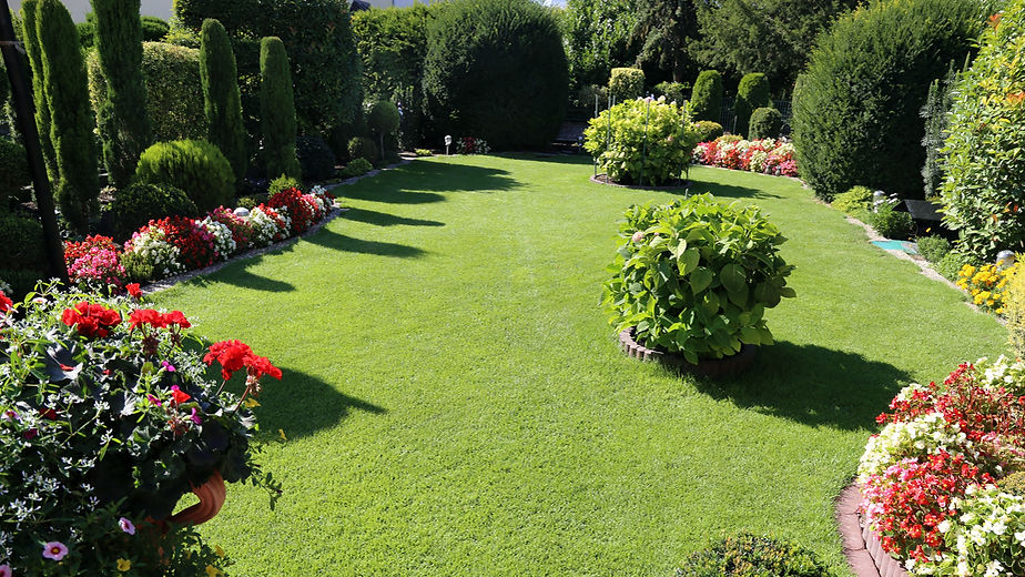 Garden Maintenance in Tunbridge Wells