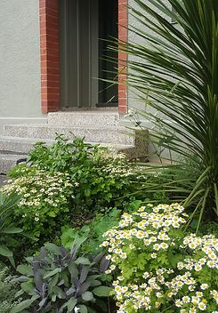 20160320_141850 - Copy.jpg