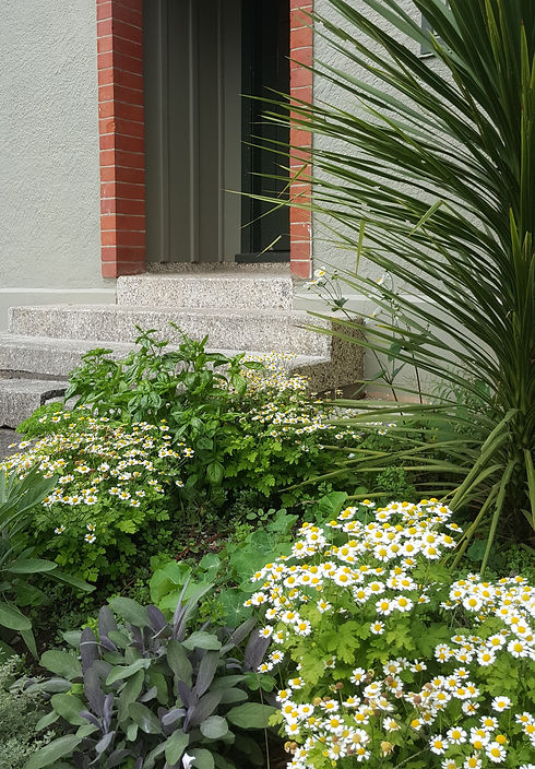 20160320_141850 - Copy.jpg