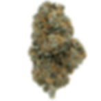 Juicy Fruit