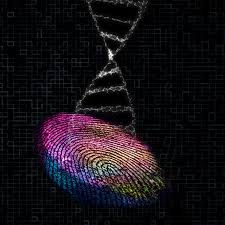 Our individual DNA code,, is as unique as our fingerprints.