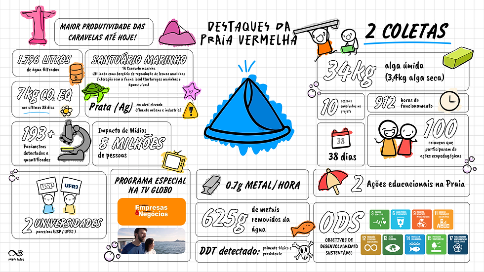 infograf pv-02.png