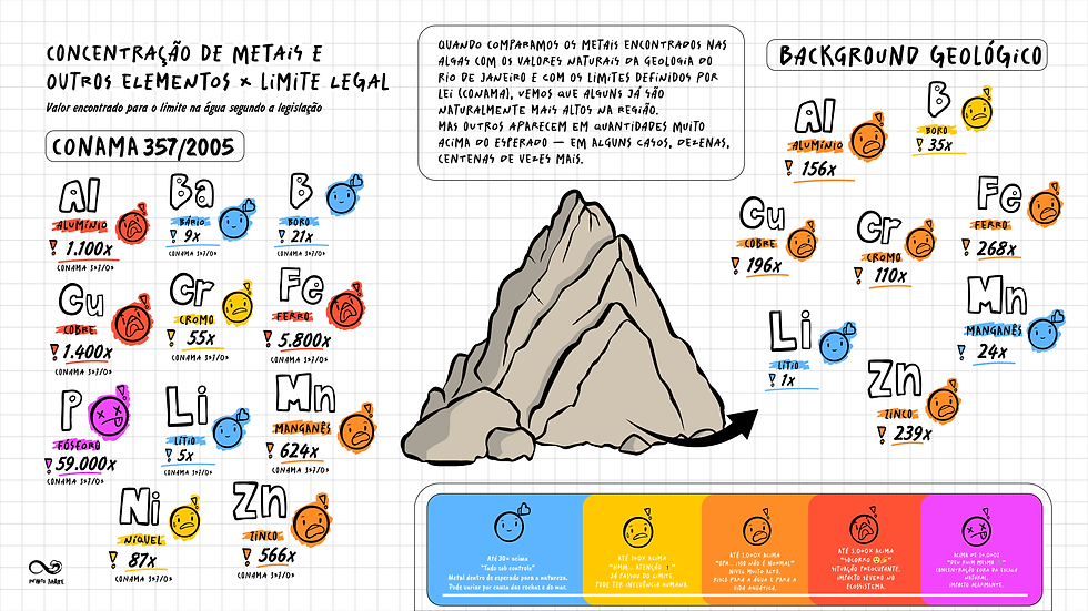 infograf pv-01.png