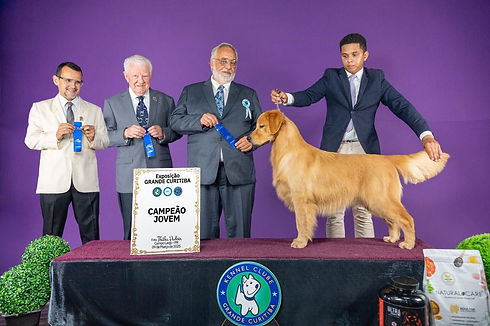 WhatsApp Image 2025-12-12 at 14.49.38.jpeg