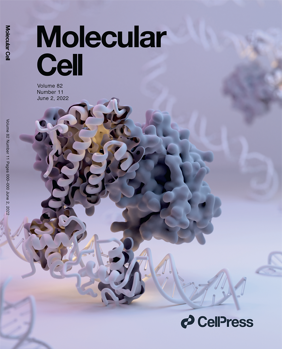 Androgen receptor binding its target DNA.