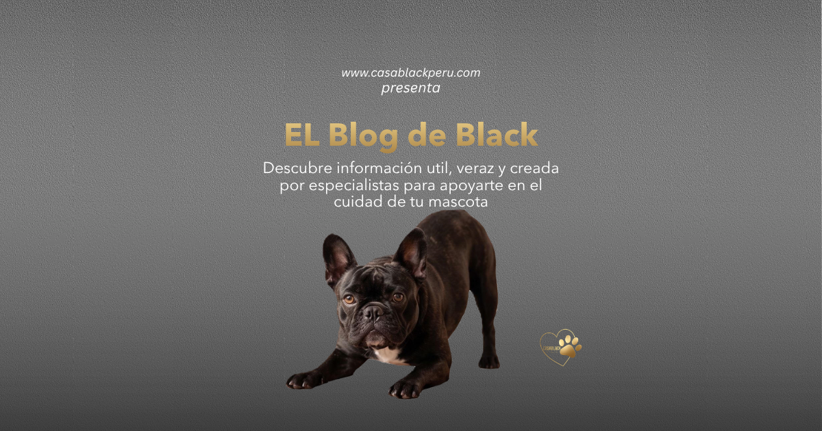 Foto del escritor: Casa Black
