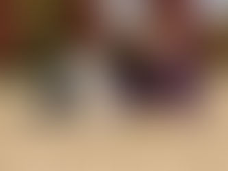 ¿Sabías que tu perro puede reconocer más de 100 palabras?