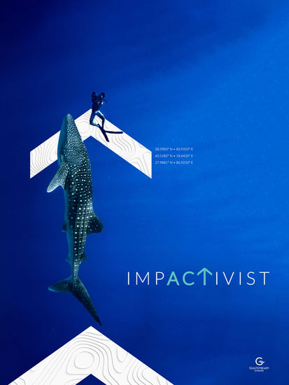impactivist-posters-b