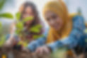 vecteezy_two-women-in-hijab-planting-trees_56836272.jpeg