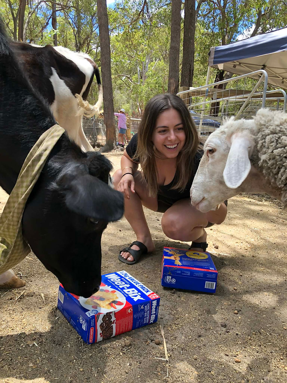 Thumbnail: Weetbix Treats