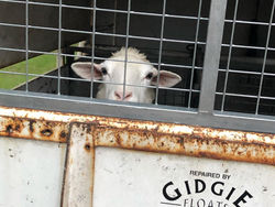 297983401_1803608459809742_8609504988003154865_n