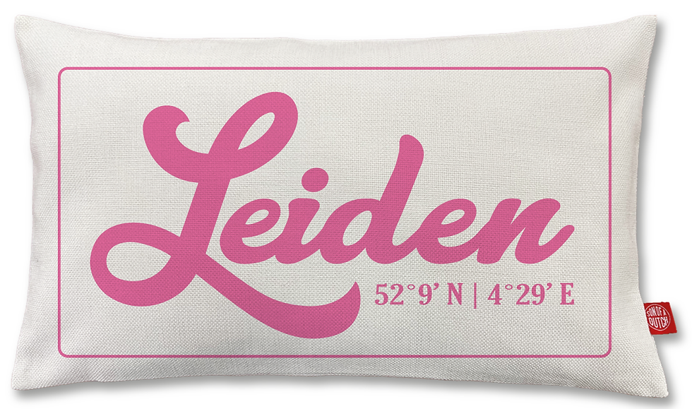 LEIDEN Kussen Roze