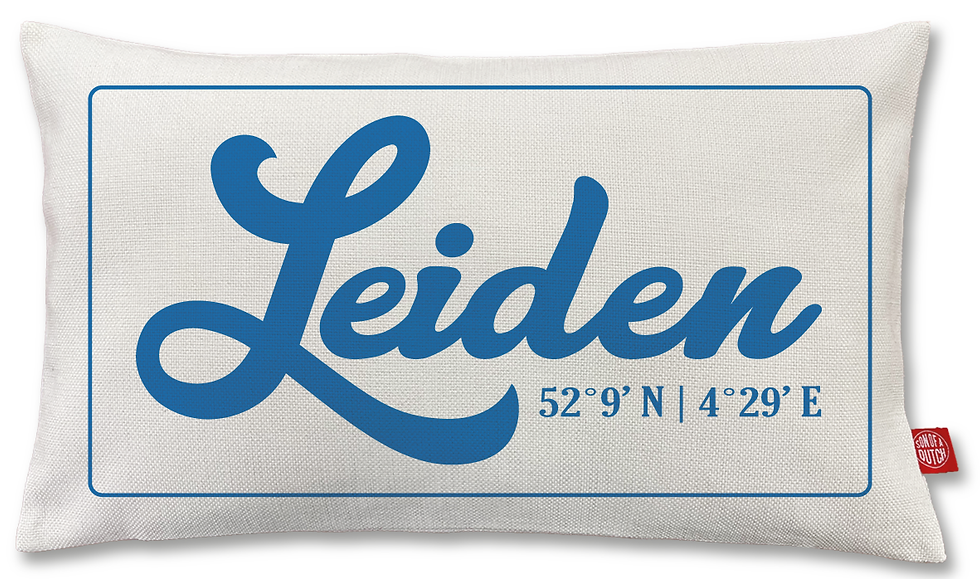 LEIDEN Kussen Blauw