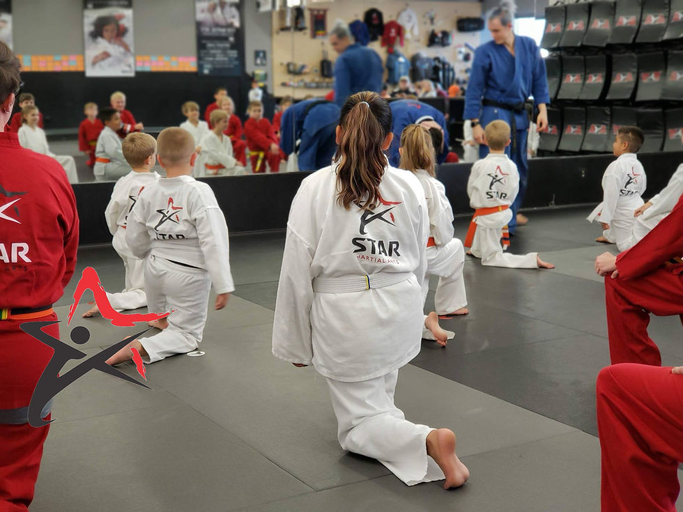 IN | Mishawaka | Kick, Focus, Grow! Martial Arts Trial Day with Star Martial Arts! 🌟
