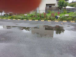 2026.9.8 大雨の合間の活動