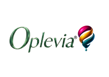 Logo navn og R.png