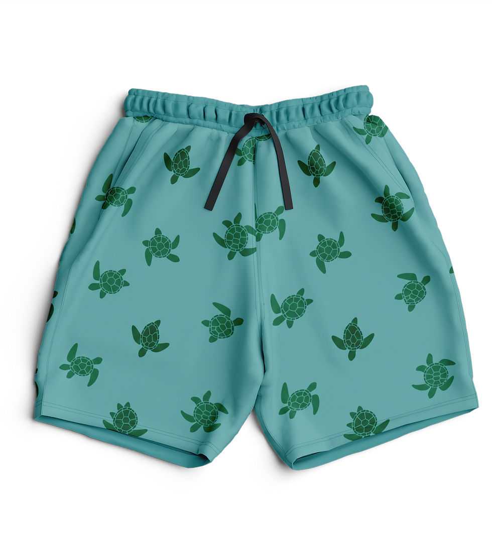 Miniatura: Short - DeepTurtle
