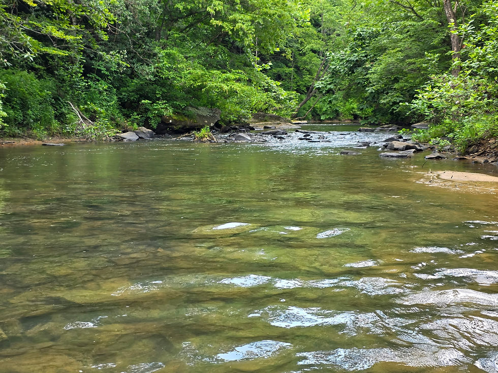 Creek at Tackett