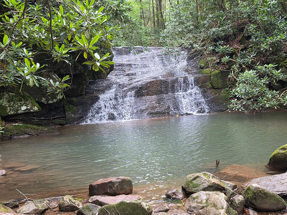 No Business Waterfall Tackett Creek