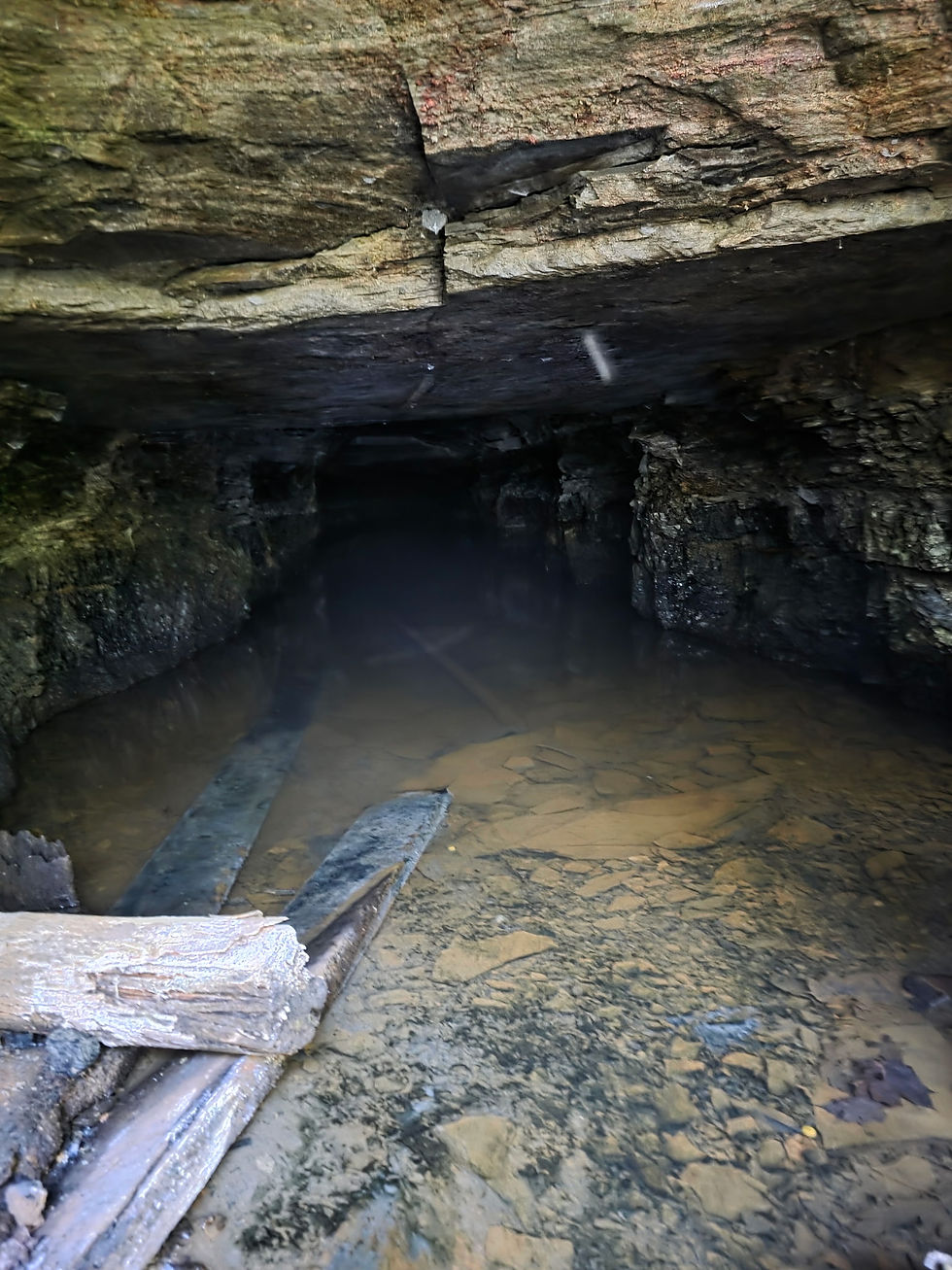 Deep Mine Royal Blue Unit