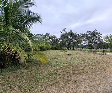 Located 4km north of Cahuita