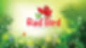 REDBIRD HEADER.jpg